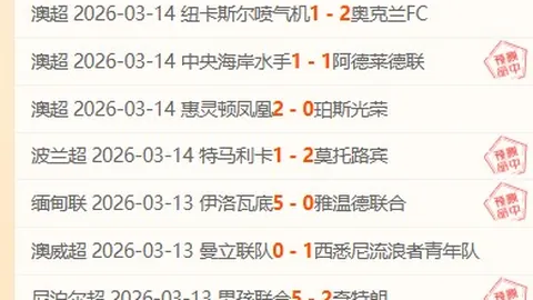 20点英超伯恩茅斯对桑德兰单选推荐分析
